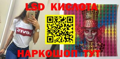 прущие грибы Сланцы