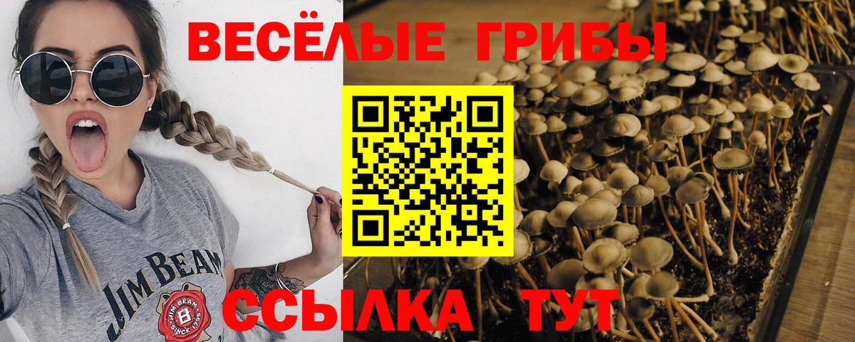Галлюциногенные грибы GOLDEN TEACHER  Вход с VPN  Саратов 